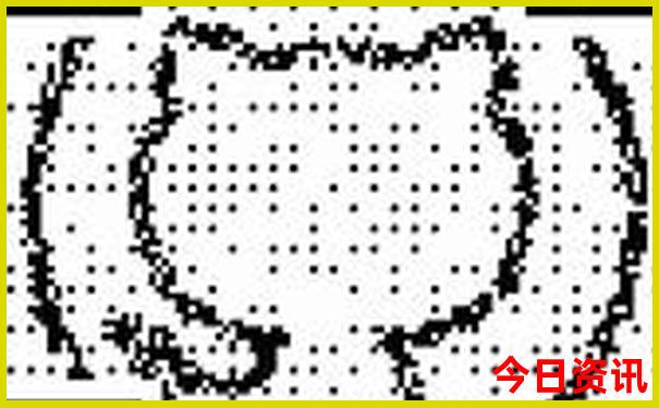 桂林夏天适合玩哪些景点