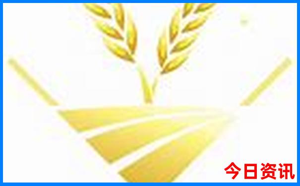 重庆旅游团报名五日游价格